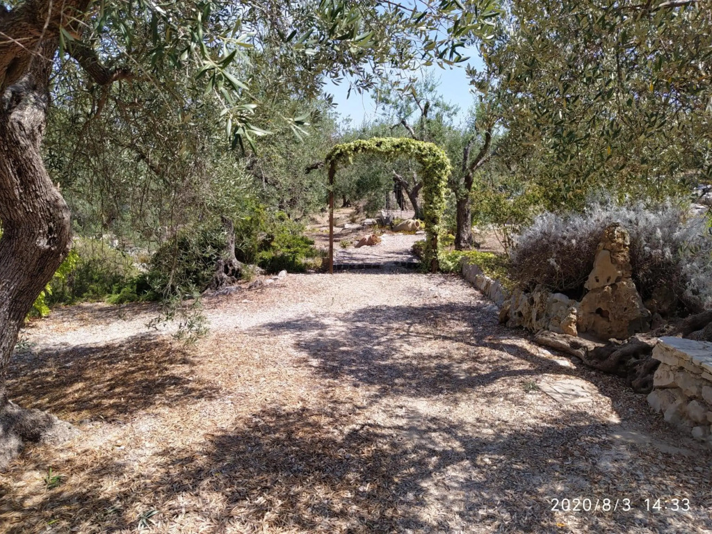 Il giardino di Mary
