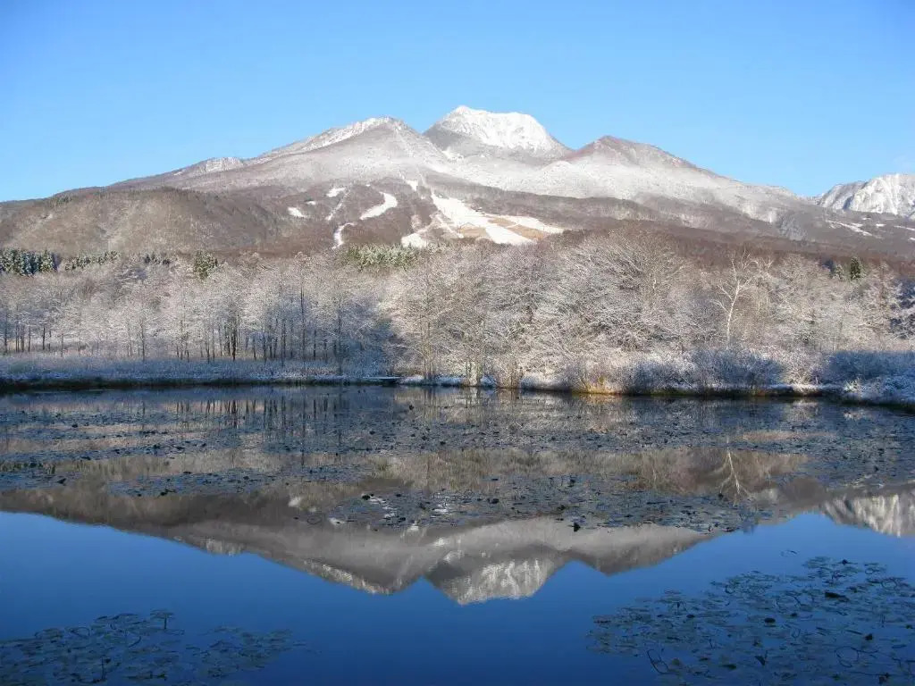 Park Lodge Sekine