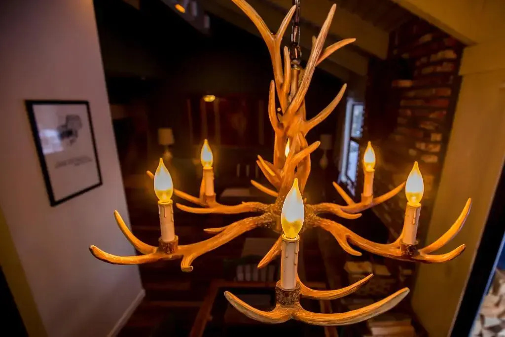 The Mammoth House