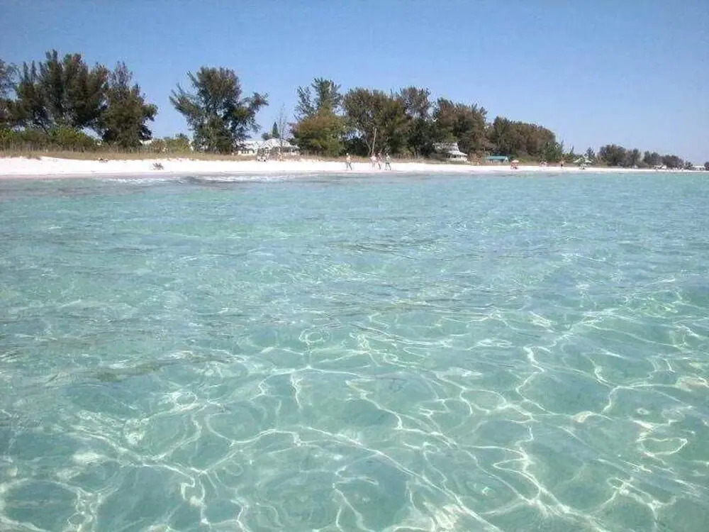 Anna Marie Island Apartments