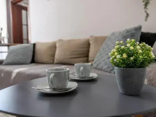 Apartment Viki