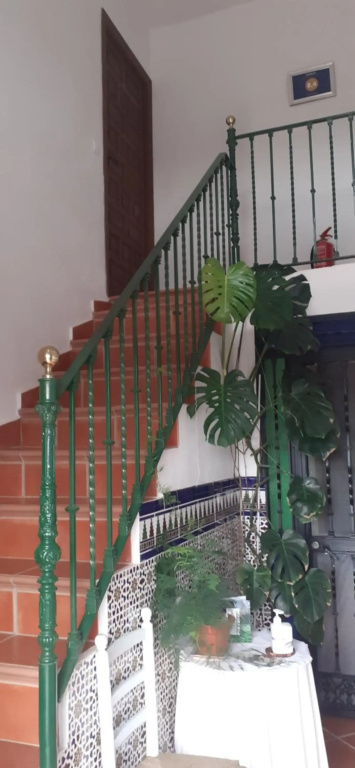 Casa El Azahin