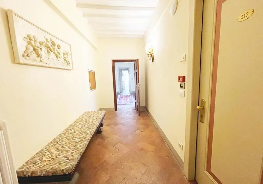 Sotto il Sole di Cortona