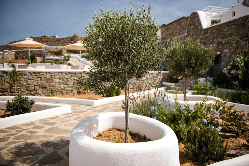 Artemoulas Studios