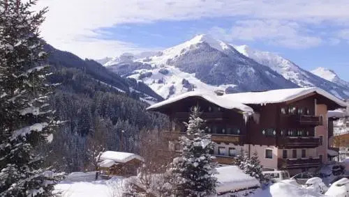 Altachhof Hotel und Ferienanlage - Jokercard im Sommer inklusive
