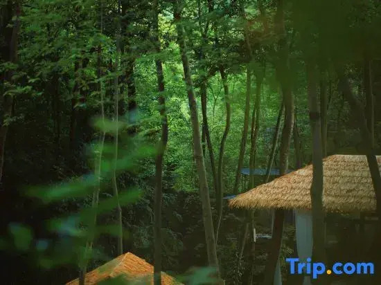 Zunbo Forest Vacation Apartment (Qingcheng Mountain Scenic Area)
