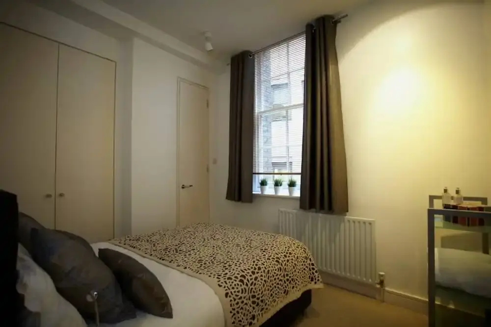 1 Bedroom Apartment Near St Paul's