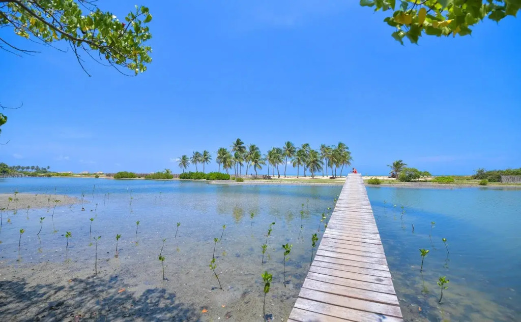 Kitesurfing Lanka