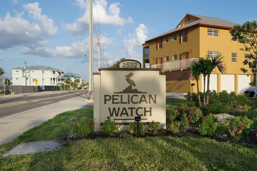 Pelican Watch #602