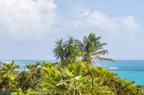 Villa Iguane House