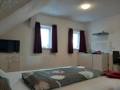 Gästehaus Apartments B & B27 und Pension Waldhorn