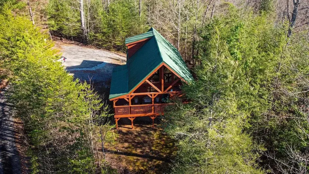 Wow! What A Cabin #255