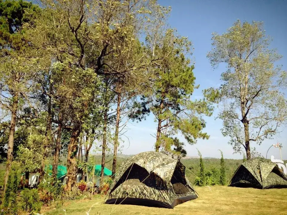 Phurua Camp Guest House