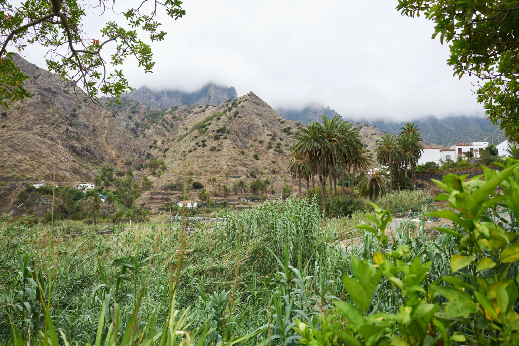 Finca Piñero