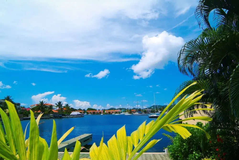 Rodney Heights Grande Splendour
