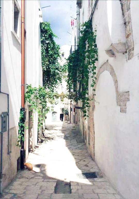 Il Vicolo B&B