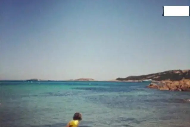 Chrysalis Bay