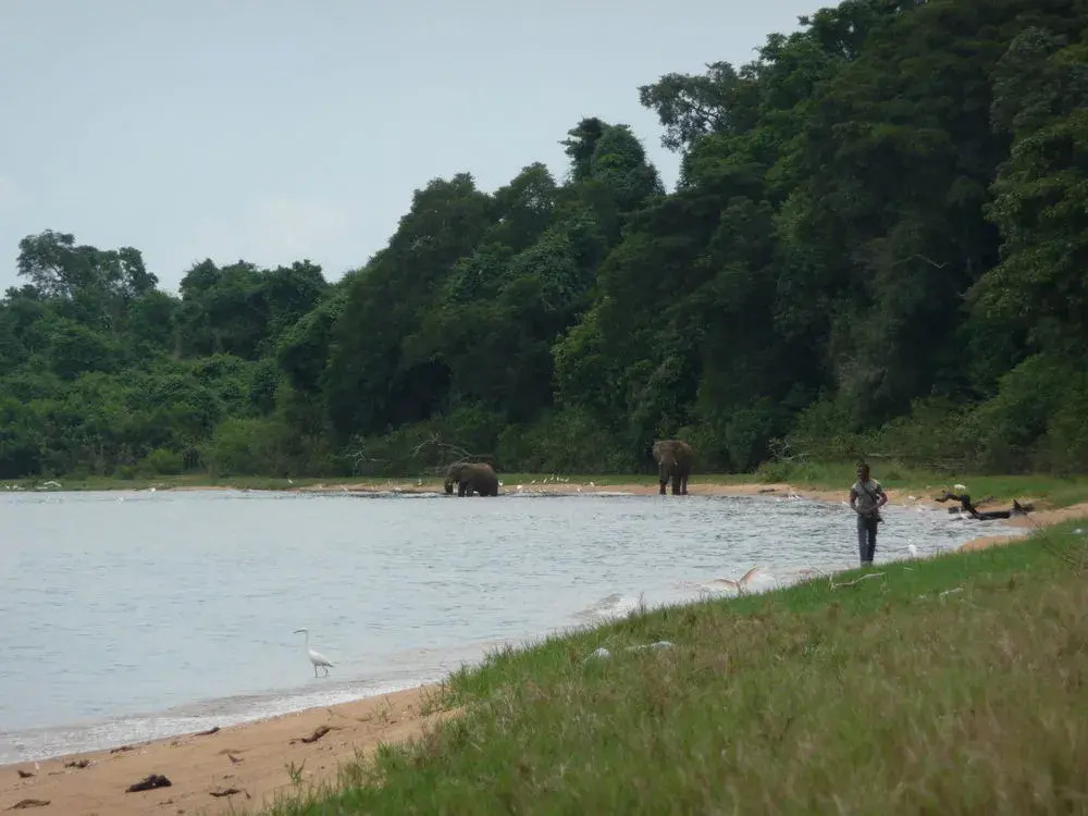 Rubondo Island Camp