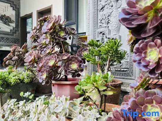 Dali Wanchang Homestay