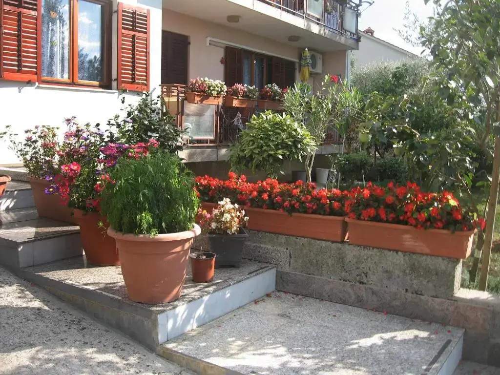 Apartments Adelita