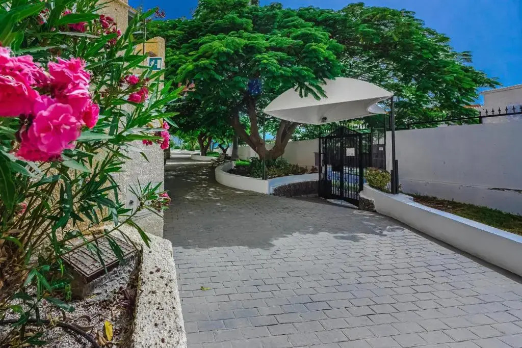 Nice 2 level apartment, El Cortijo, Las Americas LA45