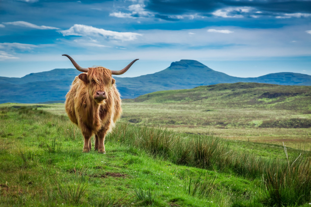 Holiday Inn Express Stirling by IHG