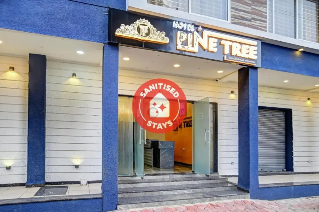 Townhouse Pine Tree