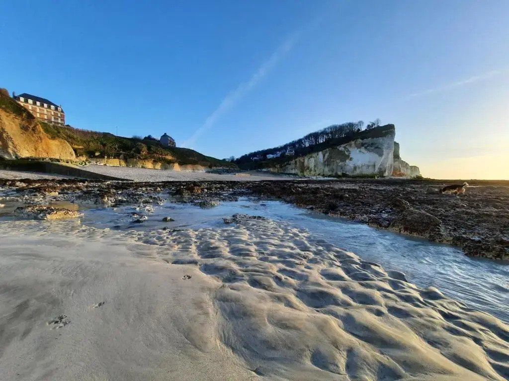 L'Estran Appartement en résidence de bord de mer