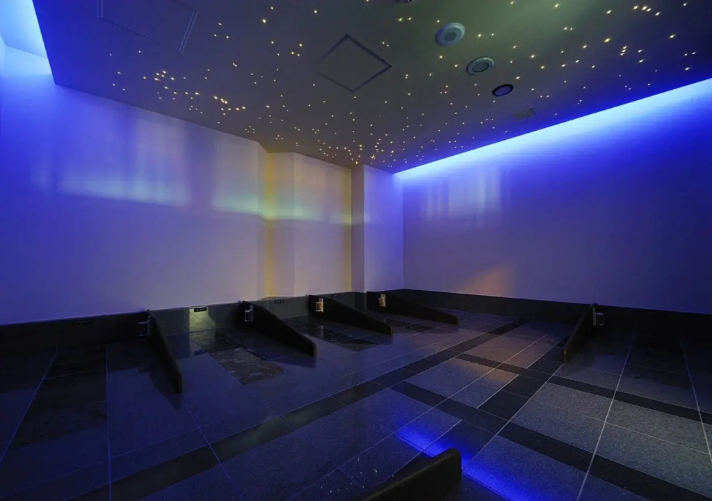 Tokyo Yugawara Onsen Manyo no Yu