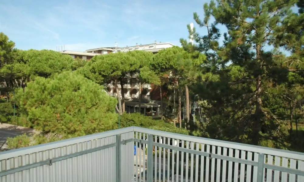 Apartment 50mt From the Beach