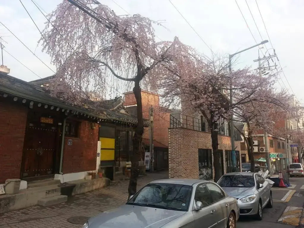 Suninjae