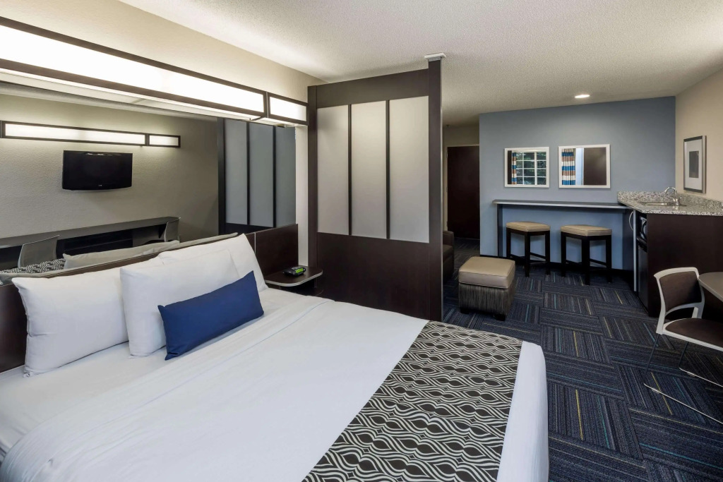 Microtel Inn & Suites - Greenville