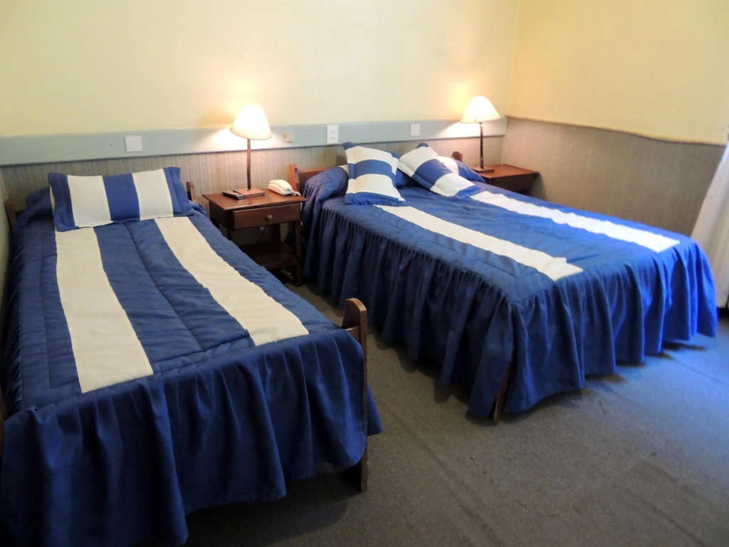 Hotel Puelches