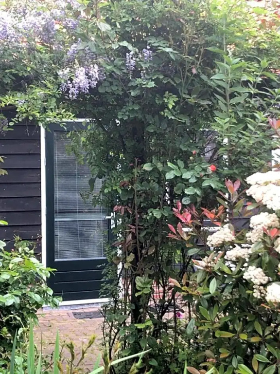 B&B BLoom