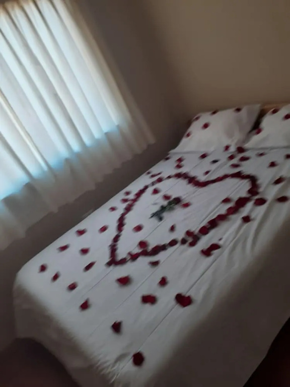 Samary house hostel