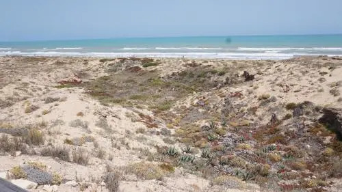 Studio w La Mata