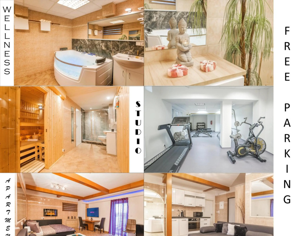 Wellness studio! Finnish sauna, Whirlpool, Gym & more!