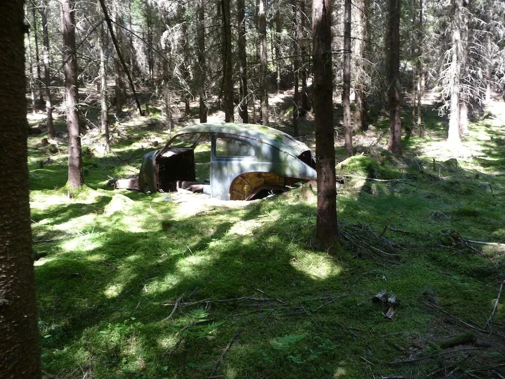 Kynnefjällsnatur