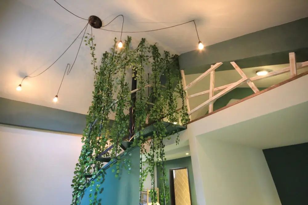 Citylife Jungle B&B