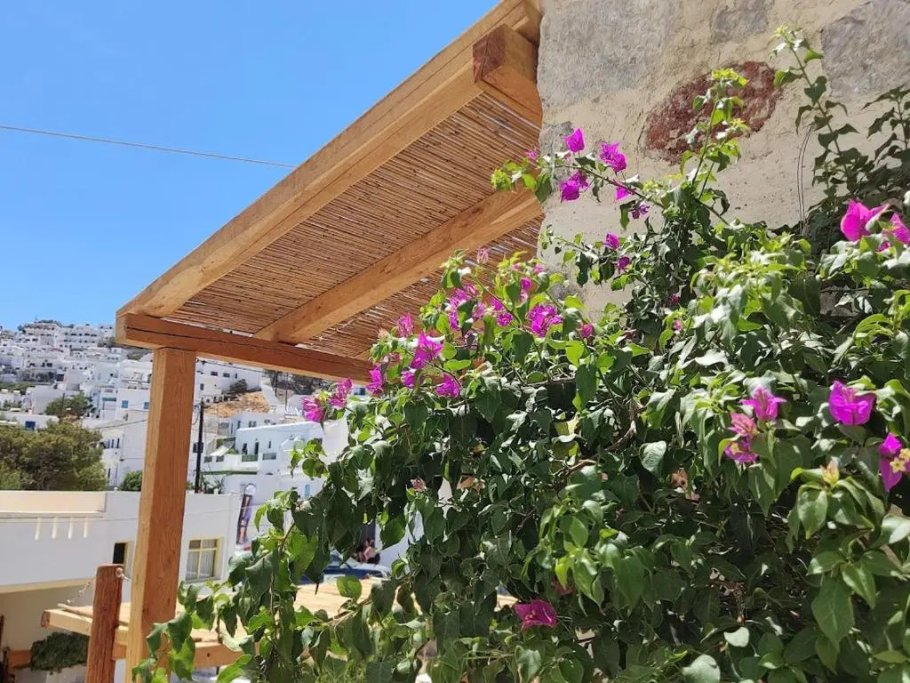 Yalos House
