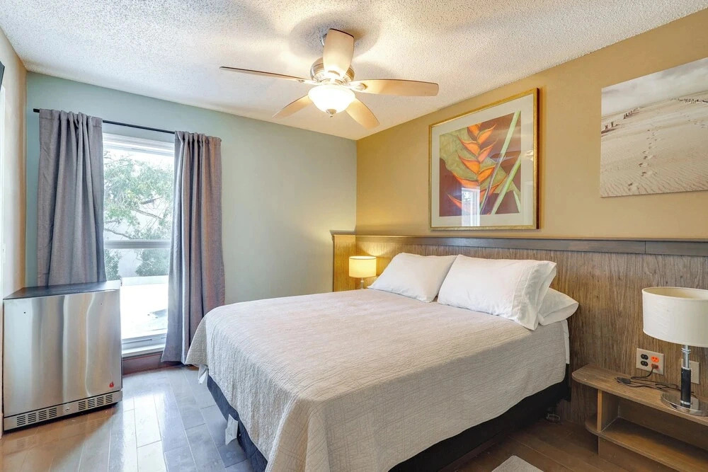 Water View! Walkable Gem Near Bayshore Boulevard