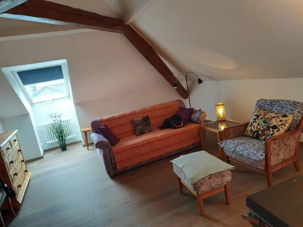 Serviced Apartments St Gallen City #8