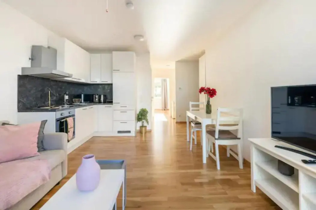 Near Lake Fully Furnished Beautiful Apartment