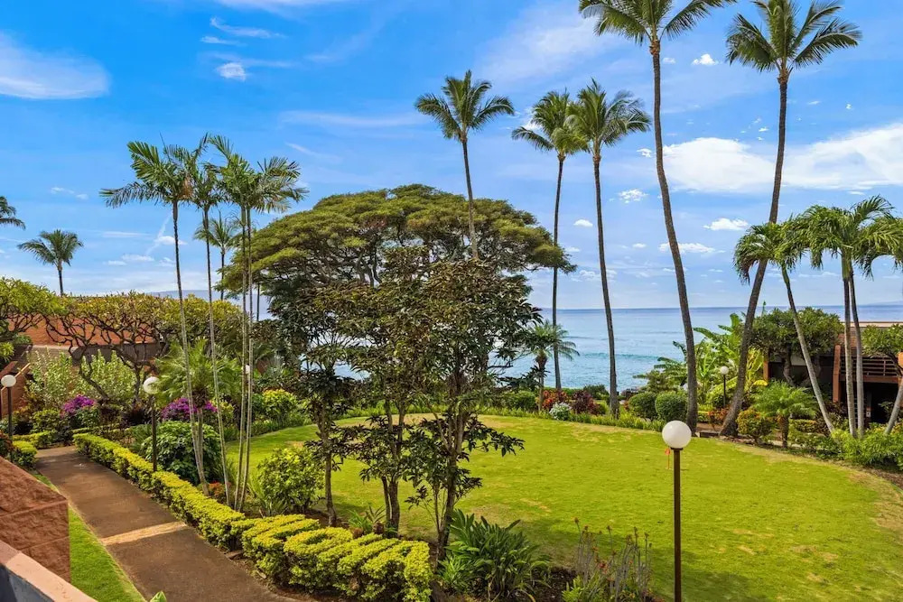 Kuleana Club - 316