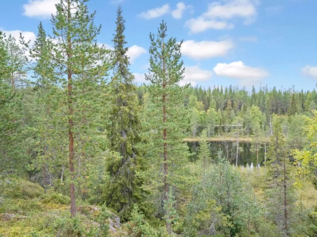 Rukan impivaara