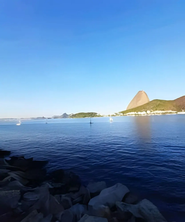 Michelle 401