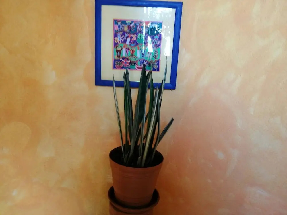 Apartment Maria Luisa