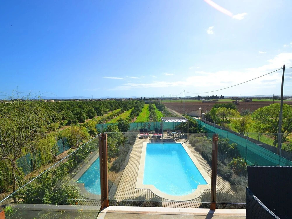 Modern Country House with Private Pool Located in An Orange Field