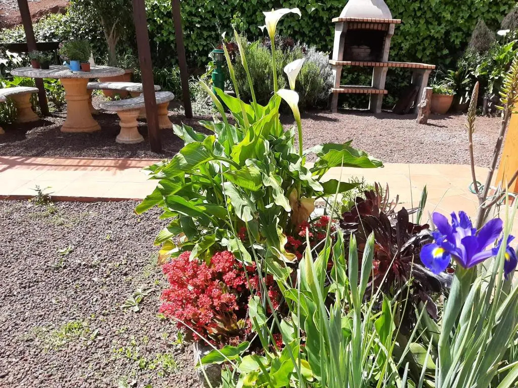 Barrancolaurel