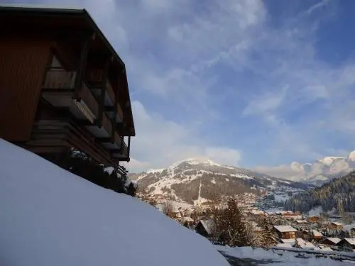 Appartement Le Grand-Bornand, 2 pièces, 4 personnes - FR-1-241-103